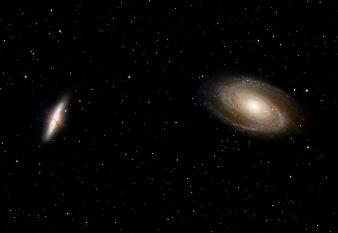 旅澳大熊猫“星秋”“怡兰”将于21日在阿德莱德与大众碰头